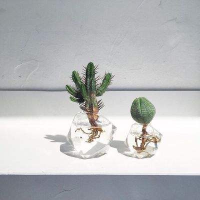 AG百家家乐app手机app下载